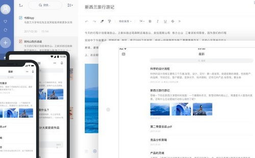2024年網(wǎng)易有道軟件排行榜、免費(fèi)試用技巧與設(shè)計(jì)開發(fā)趨勢全解析